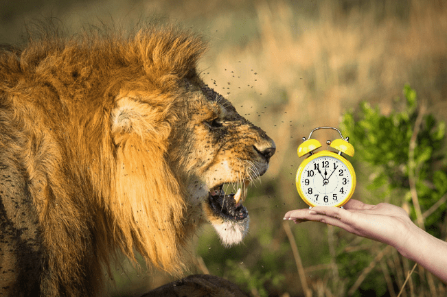 Screen Shot 2019-03-25 at 4.07.31 PM.png